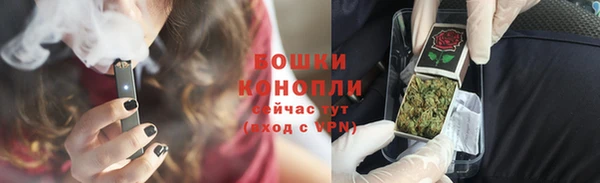 бошки Протвино
