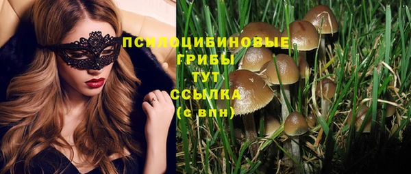 МДПВ Абинск