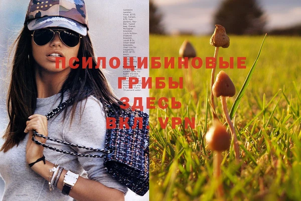 MDMA Premium VHQ Алзамай