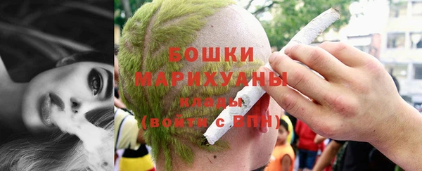 шишки Алексин