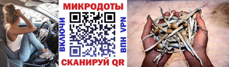 Галлюциногенные грибы GOLDEN TEACHER Волоколамск