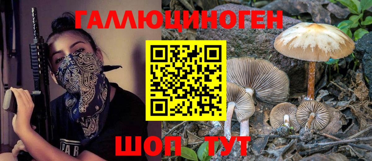 Псилоцибиновые грибы прущие грибы Волоколамск